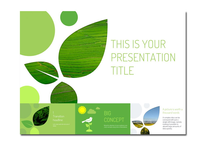 Mẫu Slide Powerpoint chuyên nghiệp lấy cảm hứng từ thiên nhiên